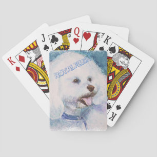 WHITE BICHON FRISE SPELKORT