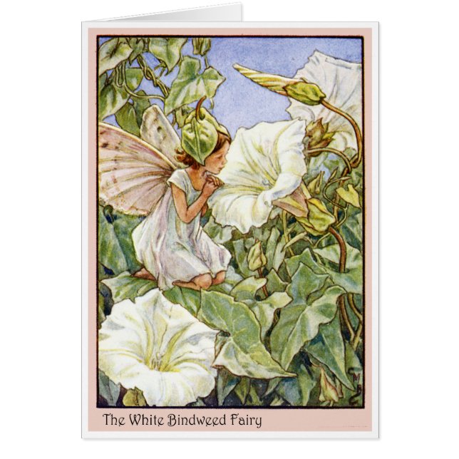 White Bindweed Fairy Hälsningskort (Framsidan)