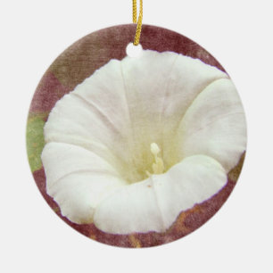 White Bindweed - Vilden Perennial Morgons Glory Julgransprydnad Keramik