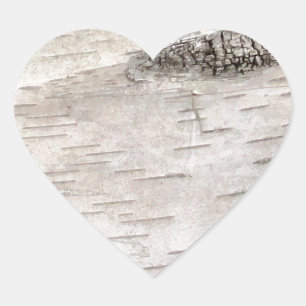 White Birch Bark Hjärtformat Klistermärke