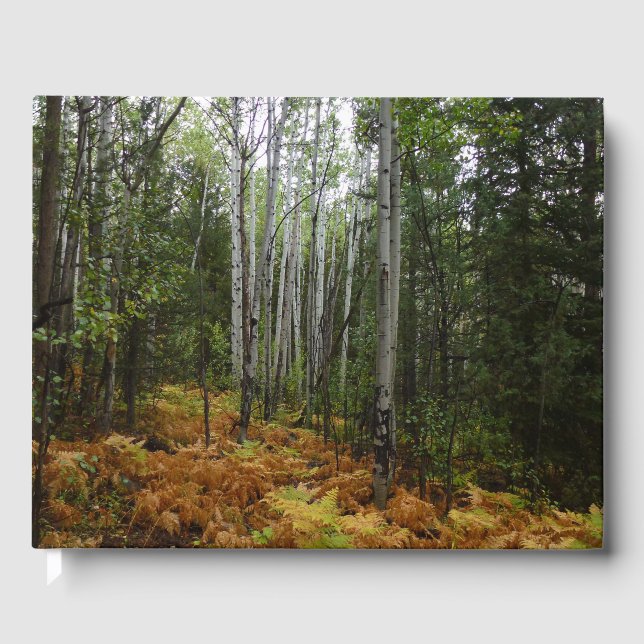 White Birch Träd och Fall Ferns i Rocky Mountain Gästböcker (Framsida)