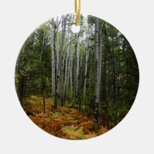 White Birch Träd och Fall Ferns i Rocky Mountain Julgransprydnad Keramik