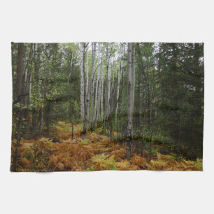 White Birch Träd och Fall Ferns i Rocky Mountain Kökshandduk