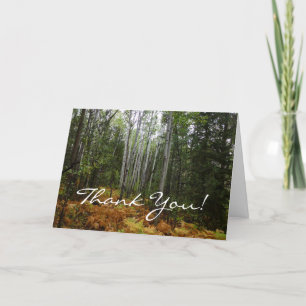 White Birch Träd och Fall Ferns i Rocky Mountain Tack Kort