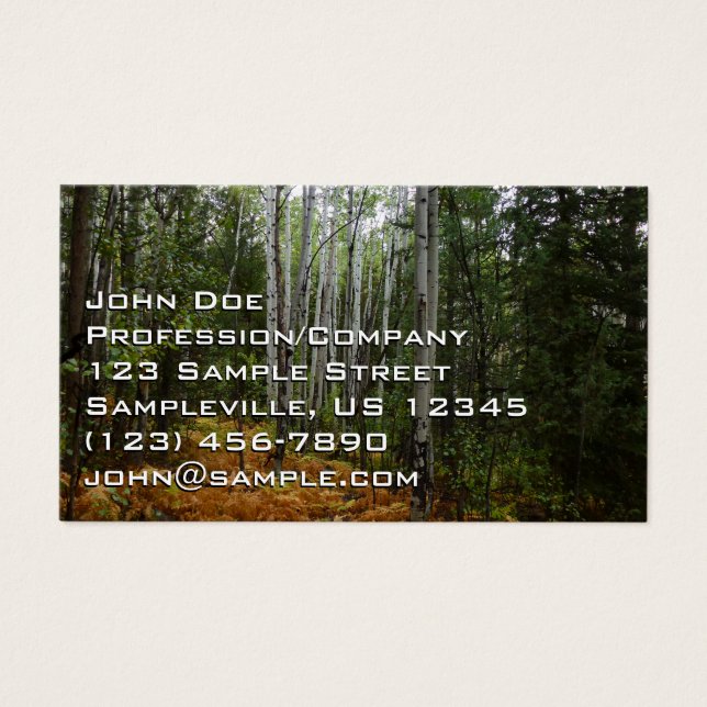 White Birch Träd och Fall Ferns i Rocky Mountain Visitkort (Framsidan)