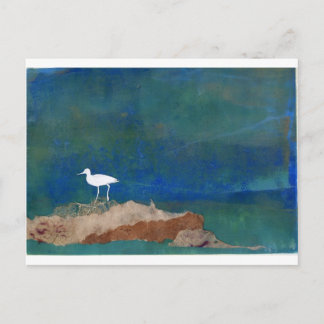 White Bird Vykort