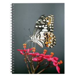 White Black and Gult Butterfly on Rosa Flowers Anteckningsbok Med Spiral