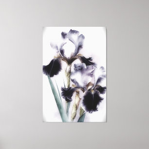 *~* White Black Flower Artsy Iris Painting AP84 Canvastryck