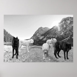 White Black Varg River Ligcape Poster