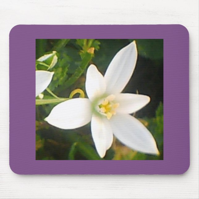 White Blommar Bloom Musmatta (Framsidan)