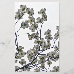 White Blommar Dogwood Brevpapper