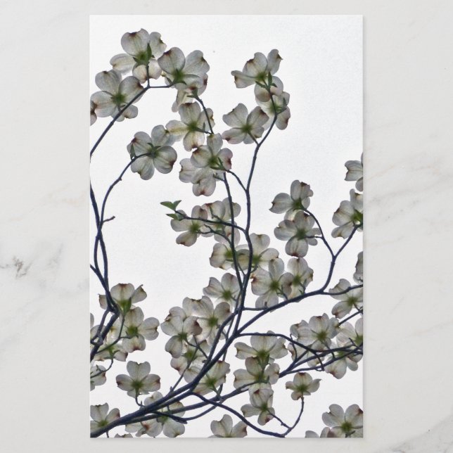 White Blommar Dogwood Brevpapper (Framsida)