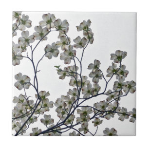 White Blommar Dogwood Kakelplatta