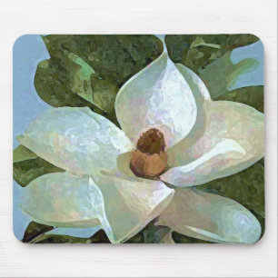 White Blossoming Magnolia Musmatta