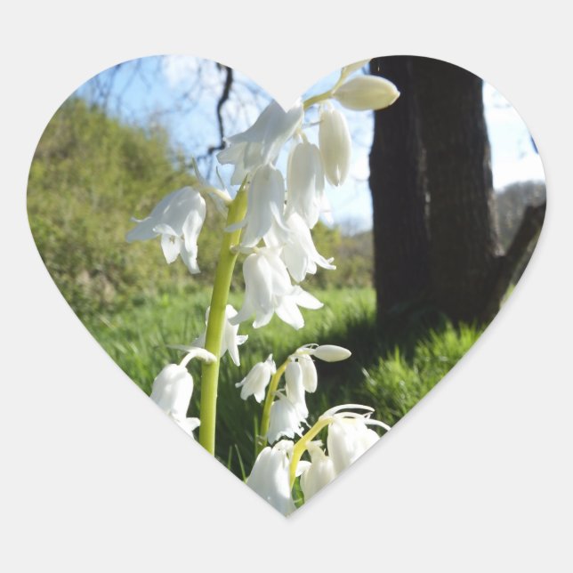 White Bluebells Stickers Hjärtformat Klistermärke (Framsida)