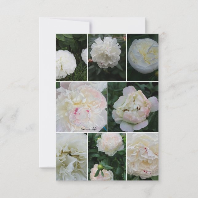 White Blushing Peony Collage Anteckningskort (Framsida)