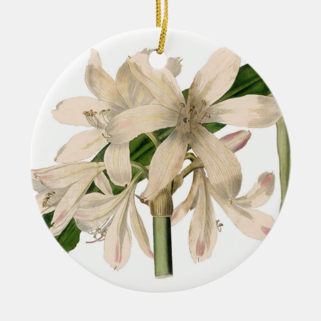 White Botanical, Lily Julgransprydnad Keramik (Framsidan)