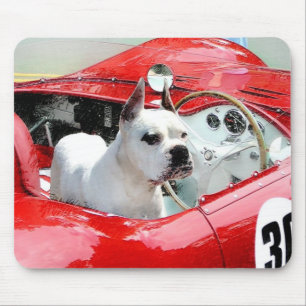 White Boxer Hund i Maserati moussetad Musmatta