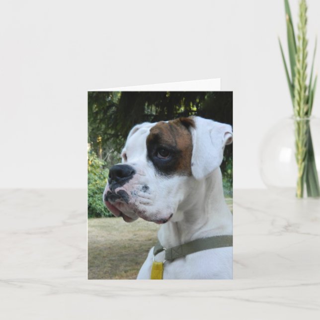 White Boxer Hund Porträtt Kort (Framsida)