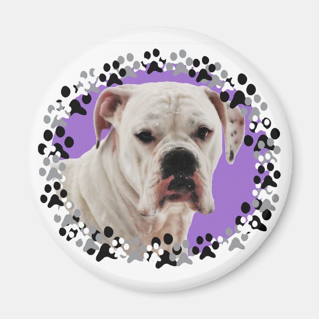 White Boxer Photo Magnet (Framsidan)