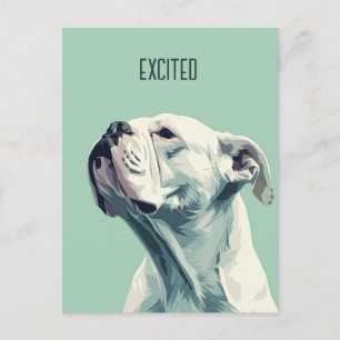 White Boxer Vykort
