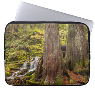 White Branch Falls, Oregon Cascades, Oregon Laptop Fodral