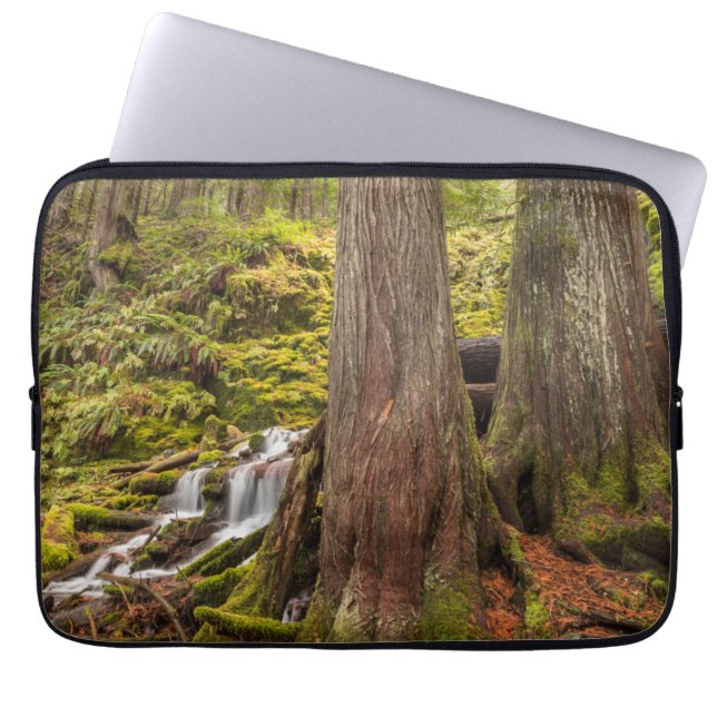 White Branch Falls, Oregon Cascades, Oregon Laptop Fodral (Framsidan)