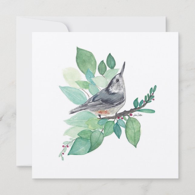 White Brested Nuthatch Bird Art (Framsida)