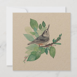 White Brested Nuthatch Bird Art
