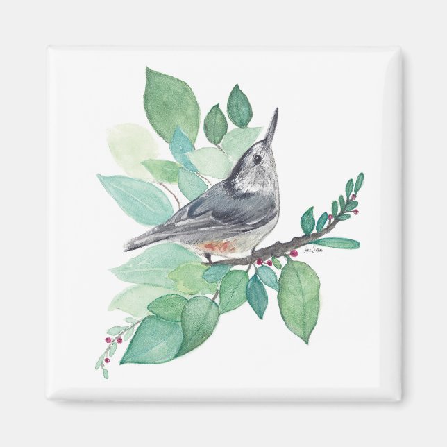 White Brested Nuthatch Bird Art Magnet (Framsidan)