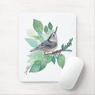 White Brested Nuthatch Bird Musmatta