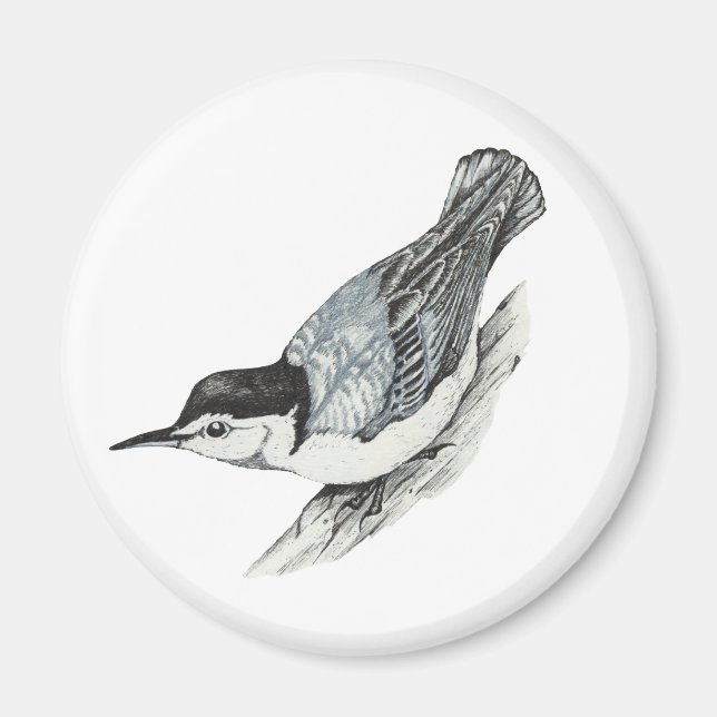 White Brested Nuthatch Magnet (Framsidan)
