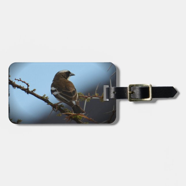 White Broged Sparrow Weaver African Bird Bag Märkr Bagagebricka (Horisontell Framsida)