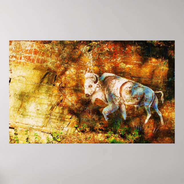 White Buffalo Cliff Art Poster (Framsidan)