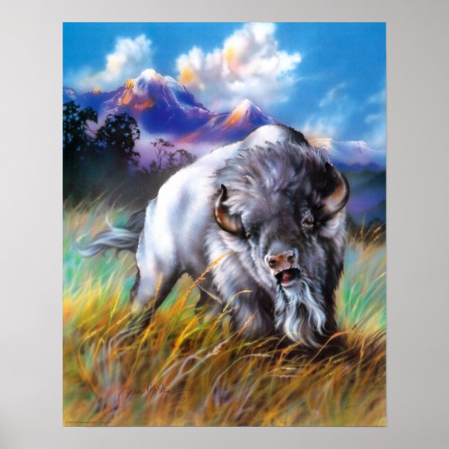 White Buffalo Poster (Framsidan)