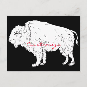 White Buffalo Thunder_Cove Vykort