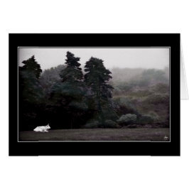 White Bull mot ett målat skogskort Hälsningskort