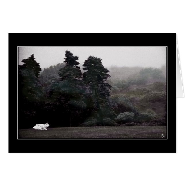 White Bull mot ett målat skogskort Hälsningskort (Framsidan Horizontal)