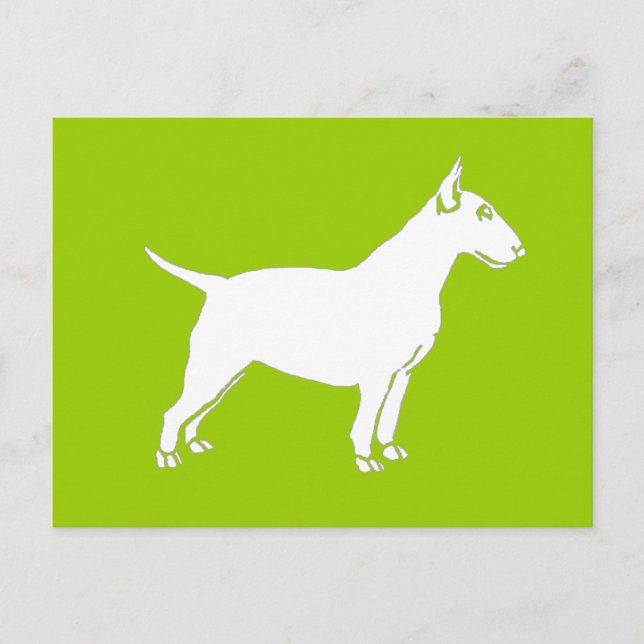 White Bull Terrier Vykort (Framsida)