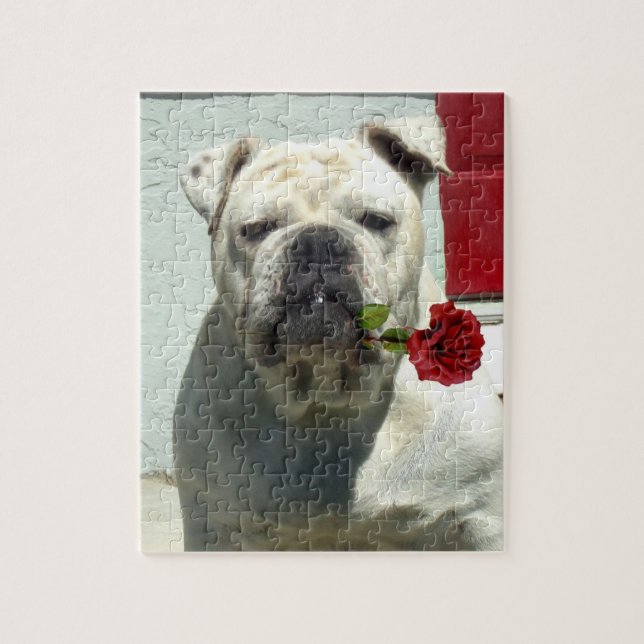 White Bulldog med ro Pussel (Vertikal)