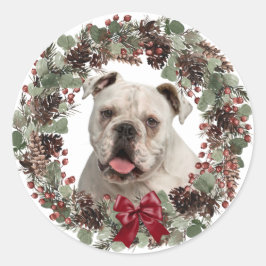 White Bulldog Pinecone God jul Runt Klistermärke