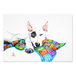 White Bullermer on Patchwork - Art Fototryck