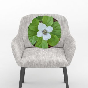 White Bunchberry Dogwood Bloom Blommigt Rund Kudde