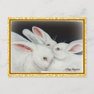 White Bunny Rabbit Vykort