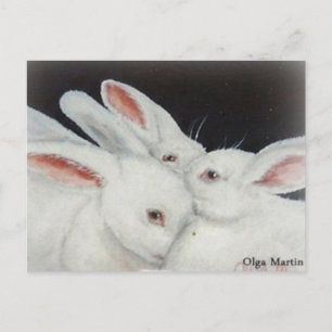 White Bunny Rabbit Vykort