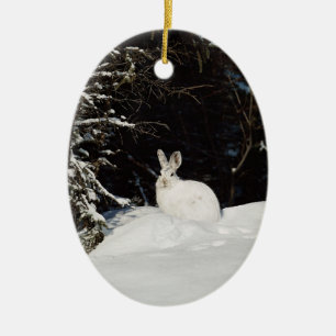 White Bunny Rabbit Wildlife Dekorationer