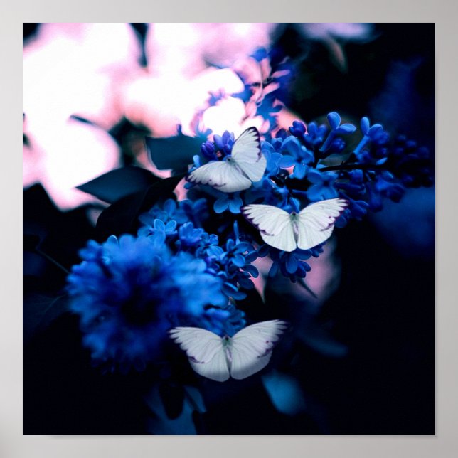 White Butterflies Blåa blommor, fjäril Poster (Framsidan)