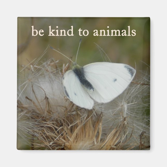 White Butterfly "Be Kind to Animals" Magnet (Framsidan)