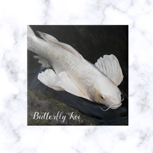 White Butterfly Koi Photo Kakelplatta (In Situ)
