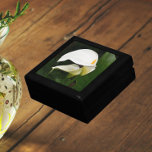 White Calla Lilies Blommigt Minnesask<br><div class="desc">Förvara trinketer,  smycken och andra små keepsaker i denna presentlåda av trä med keramiskt plattor som har en foto av två,  vackra,  vita Calla Lilies tillsammans med gröntens löv. En underbar,  blommigt design! Markera din presentlåda storlek och färg.</div>